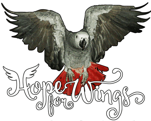 Hope for Wings