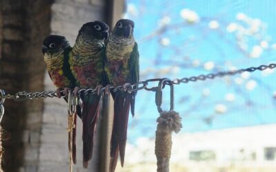 Eén is ook maar alleen; samen is beter!